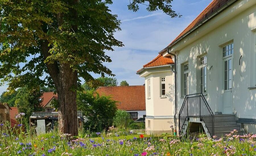 Blumenwiese in Odelzhausen