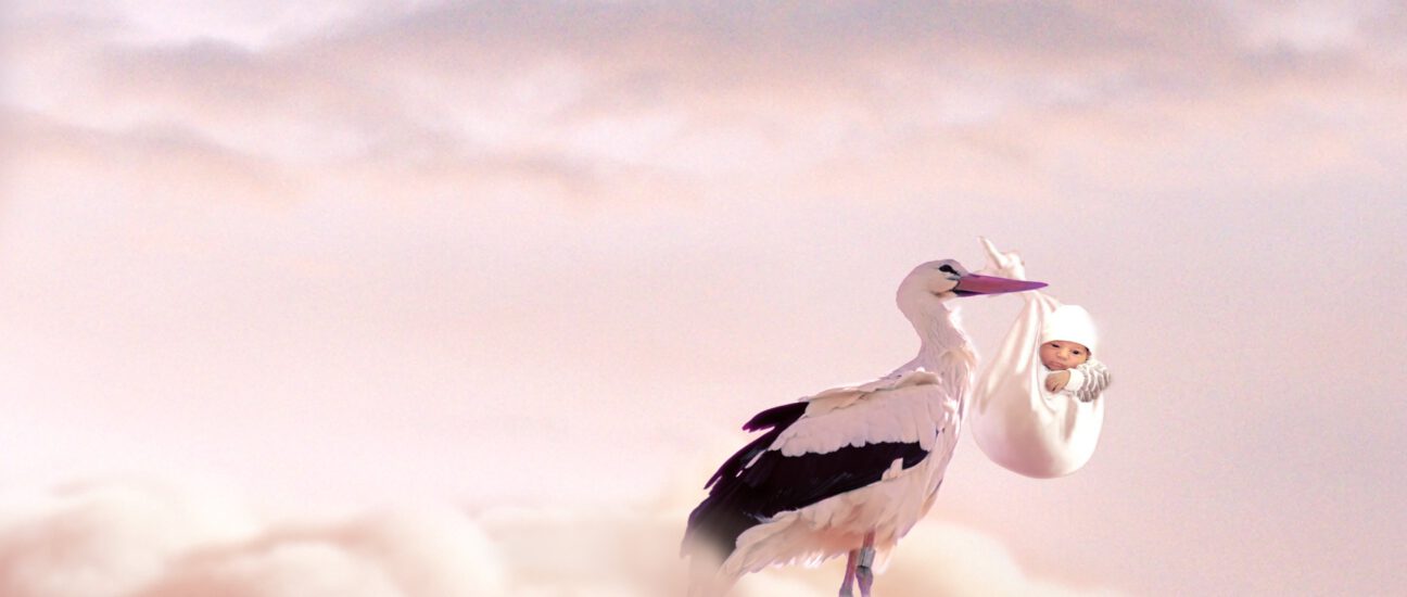 Storch auf Wolke mit Baby