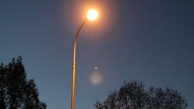 Bild des Inhalts