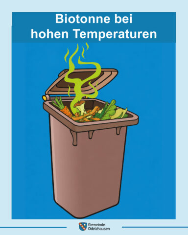 Bild zum Beitrag:Biotonne bei Hitze